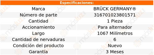 1- Banda Accesorios P/alternador Murano V6 3.5l 03/09 Bruck Foto 2