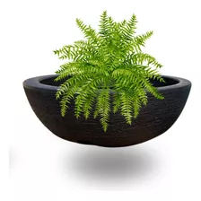 Vaso Pequeno Para Plantas Suculentas Bacia Escovada N1 