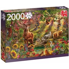 Puzzle 2000 Piezas Magic Forest At Sunset Premium - Jumbo