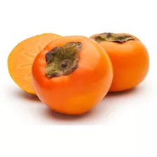 Muda De Caqui Fuyu Enxertado + Laranja Lima