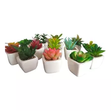 Suculentas Cactos Plantas Artificiais 6 Vasinhos Mini Vasos