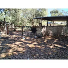 Rancho En Venta Ejido Los Asmoles