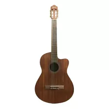 Guitarra Electroacústica Bamboo Con Funda Gc-39-maho-q