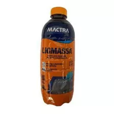 Ligmassa Aditivo Para Argamassa E Assentamento 900 Ml