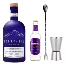 Kit Gin Tonic Aconcagua + Tónica Annika + Cuchara + Jigger