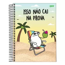 Caderno Universitário Cd Flork 10 Matérias 160 Folhas 