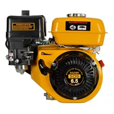 Motor Gasolina 6,5 Hp Sg200 //cyj