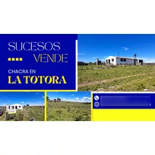 Sucesos Vende 12 Has Con Casa ¨un Pedacito De Paraíso, De Paz Y Tranquilidad Paraje La Totora