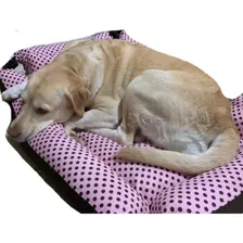 Cama Rosa E Marrom Para Cachorros E Gatos Tamanho G