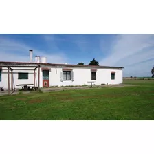 Campo En Venta En Lavalleja, 360 Hectáreas.