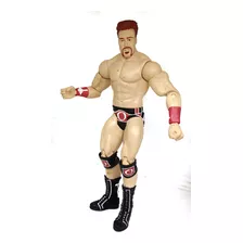 Boneco Action Figure Batista Drax Wwe Classic Superstars C13