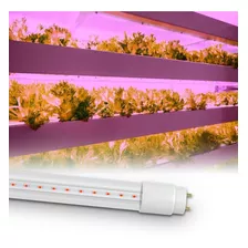 Tubo Led Cultivo Growing Indoor 10w 60cm 220v Floracion Color De La Luz Rojo