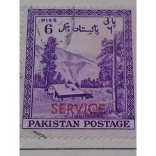 Estampilla Pakistan 1905 A1