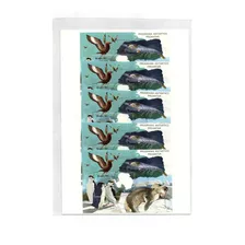 Brazil 1990 Fauna Pinguins Focas Aves Lindo Lote 5 Blocos