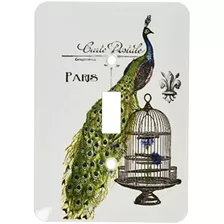 Pavo De París Jaula De Pájaros