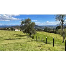 Finca 2 Casas Totalmente Terminadas Galpón Para Gallinas Y G