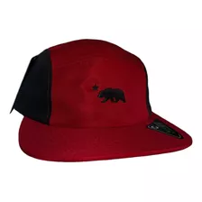 Boné Five Panel Urso Aba Reta Fitão Strapback Sk8 Overhead