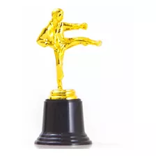 Troféu De Karatê 16,5cm Ax Esportes-y252