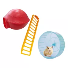 Kit Para Hamster Toca + Escada + Roda 