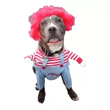 Disfraces, Trajes De Mascota, Perros, Gatos Conejos Doghouse