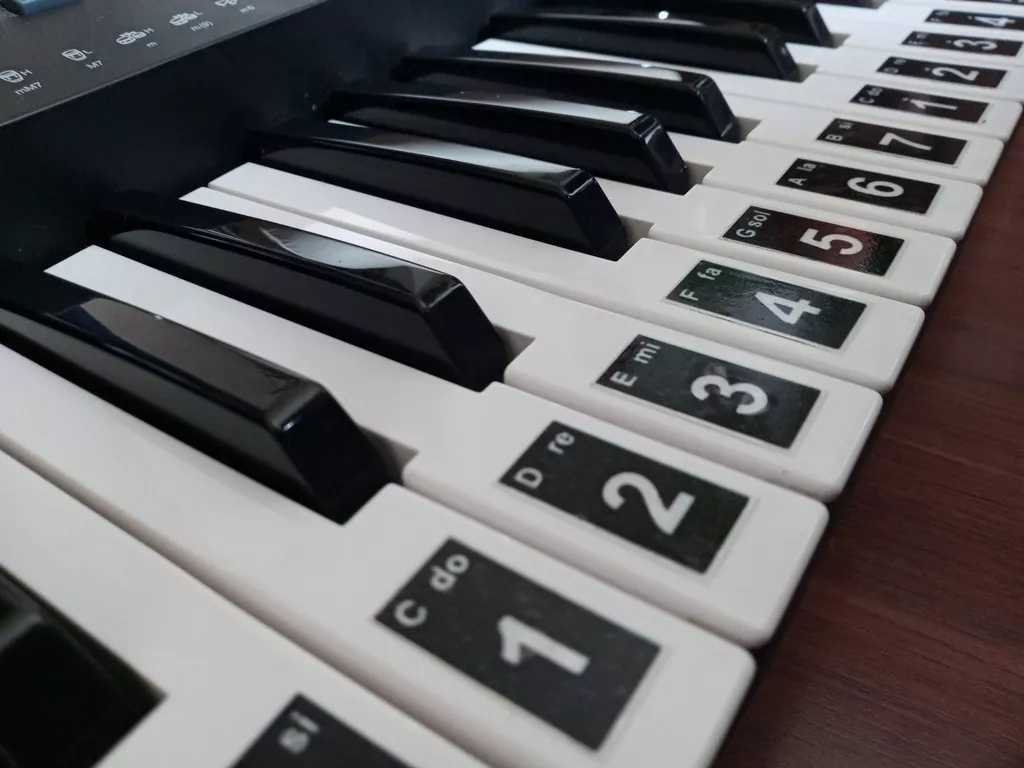 Adesivo De Notas Musicais Teclado Piano Para Aprender Tocar