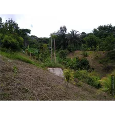 Venta Casa Finca Amoblada Antes De Minca