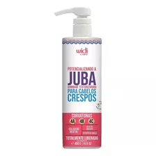 Potencializando A Juba Gommage Texturizadora Widi Care 480g