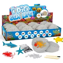 Xx Toys - Kit De Excavación De Animales Marinos Para Niño.