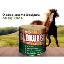 Bloco 60 Sal Mineral Nutrição 6kg 2un