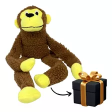 Brinquedo Macaco Pelúcia Grande Pet Cachorro Amigão C/ Apito