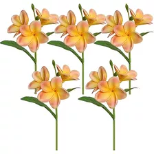 5 Piezas De Tallos De Plumeria De Aspecto De Pu, Flores...