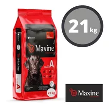 Alimento Perro Maxine Adulto 21kg Despacho Gratis