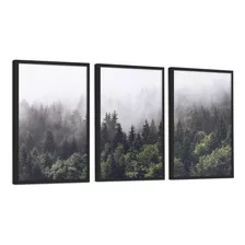 Quadros Decorativo Floresta Pinheiro Neblina C/ Vidro 30x40