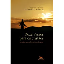 Doze Passos Para Os Cristãos - Jornada Espiritual Com Amor-exigente, De Friends In Recovery. Editora Associação Nóbrega De Educação E Assistência Social, Capa Mole Em Português, 1995