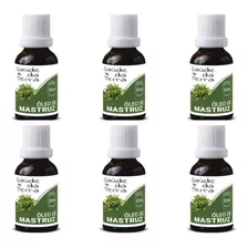 6 Óleos Vegetal De Mastruz 30ml Saúde Da Terra 