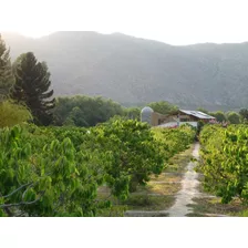 Espectacular Propiedad, Calidad De Vida En El Molle, Vicuña