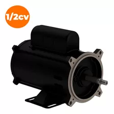 Motor Mono Weg 0,5cv 110/220v Para Bomba De Piscina 1/2cv 110v/220v