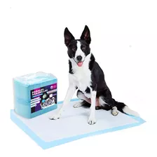 100 Pañales Sabanillas Mascotas Perros 60x60 Cm Envio Gratis