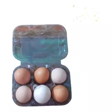 Caixa Para 6 Ovos De Galinha 100 Embalagens-bandejas