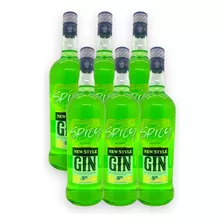 New Style Gin Spicy Coctel Caja X6u 1000ml Argentina