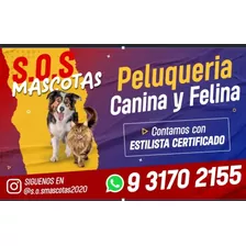 Peluquería Canina Y Felina 