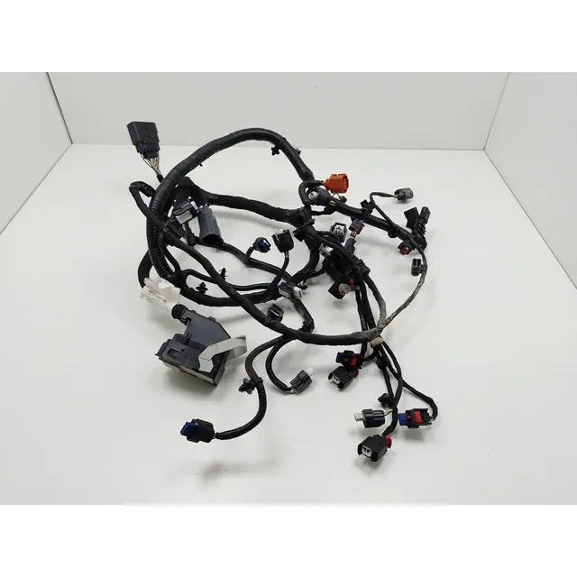 Chicote Do Motor Injeção Ford Ecosport 1.5 2020 6