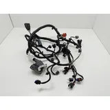 Chicote Do Motor Injeção Ford Ecosport 1.5 2020 Thumb 6