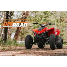 Quadriciclo Infantil Cforce 110 Lv Cfmoto Vermelho Natal