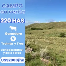 Se Venden 220 Hectáreas Ganaderas En Treinta Y Tres A 2000 Dólares La Hectárea.