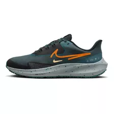 Nike Air Pegasus 39