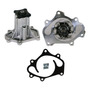 Vlvula Admisin Nissan Titan 2004-2009 5.6 Dohc 32v V8