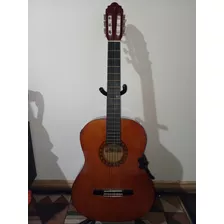 Guitarra Electroacústica Valencia, Ergoplay Y E Semiduro 