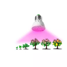 Lâmpadas De Led Para Ajudar As Plantas Cresce - Hidropônica 