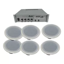 Combo Sonido Música Funcional 6 Parlantes + Amplificador